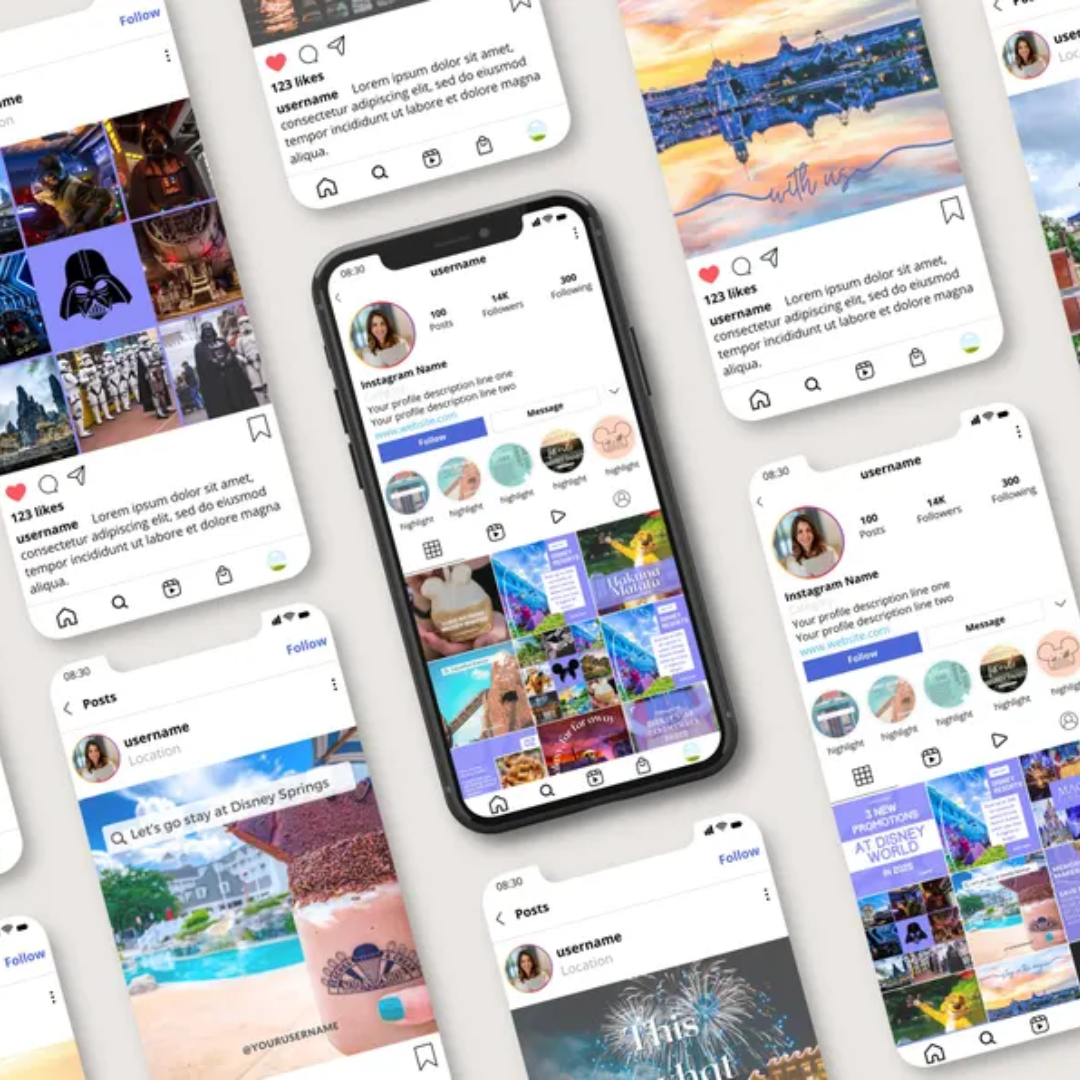 WDW Travel Agent Templates: Theme Park Instagram Posts (Digital)