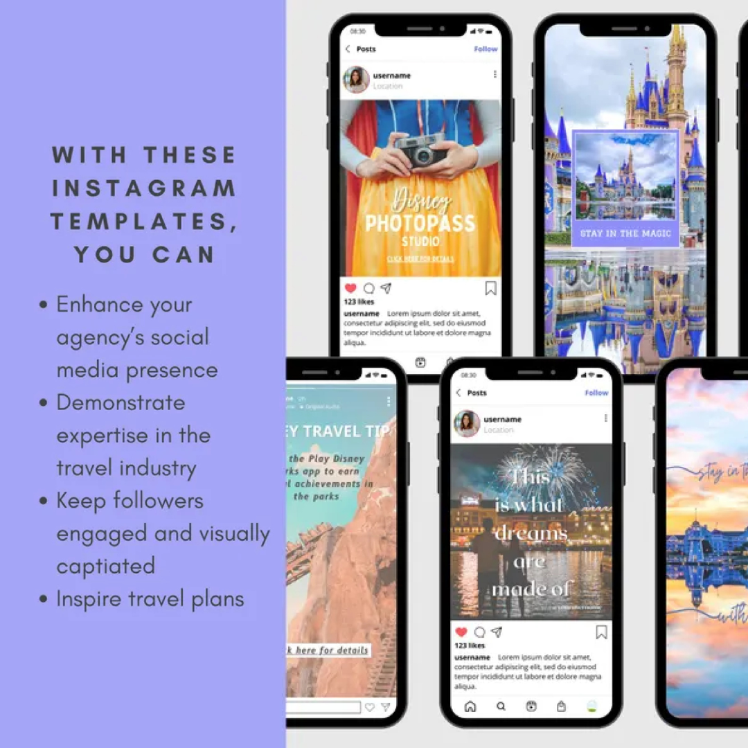 WDW Travel Agent Templates: Theme Park Instagram Posts (Digital)